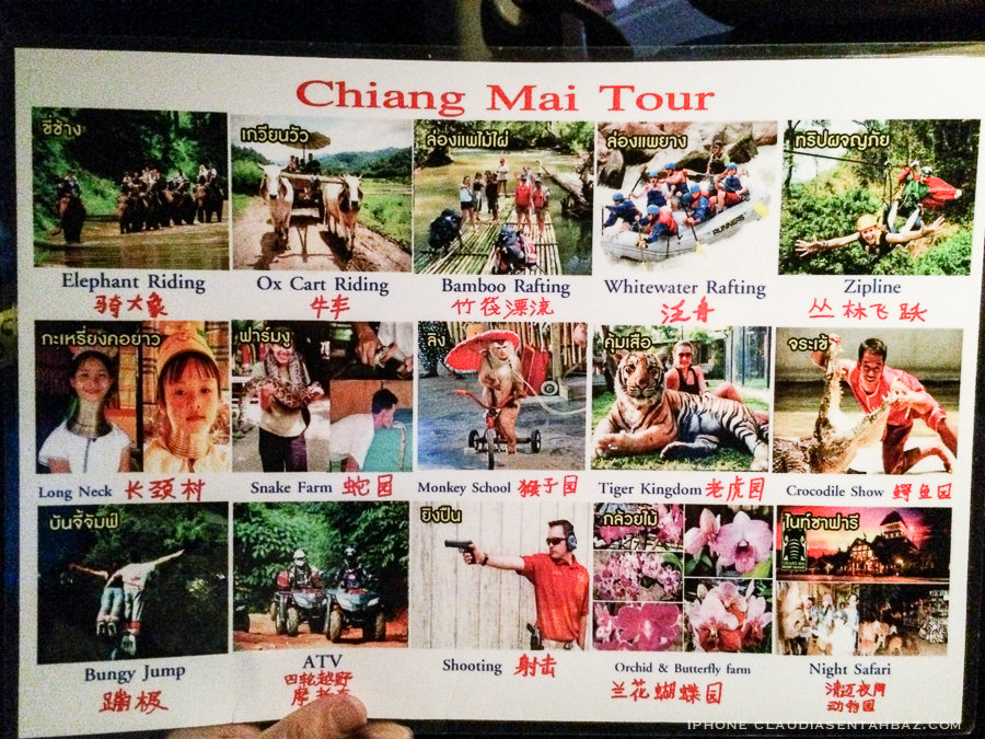 20161005-IMG_9418-Chiangmaicel