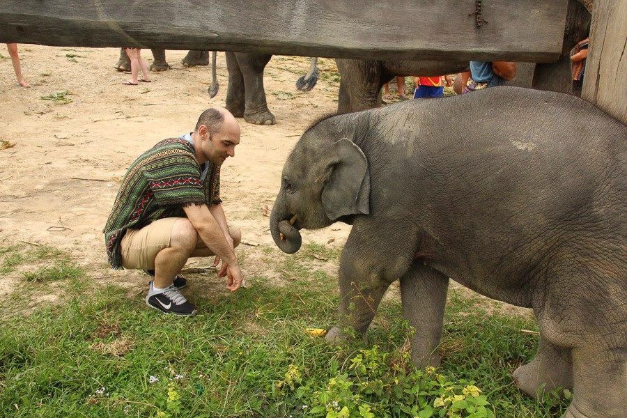 20161008-IMG_9614-Chiangmaielephantsanctuary